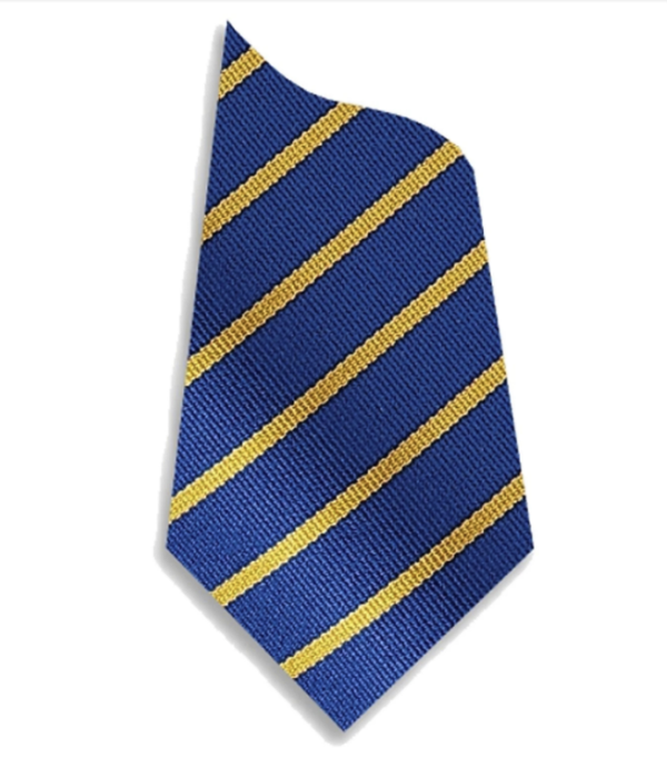 Bocombra Primary School - Tie