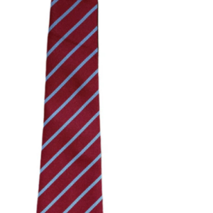 Hardy Primary - Tie