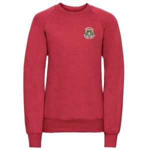 Derryhale Primary School - Jumper