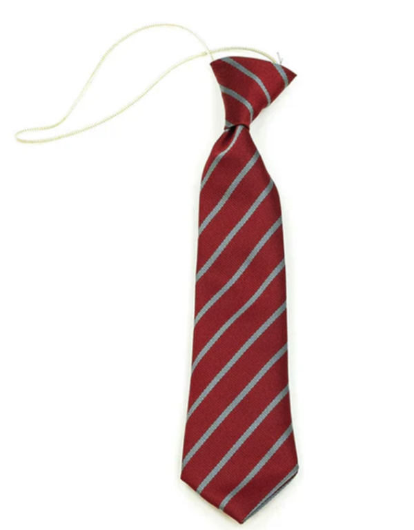 Hardy Primary - Tie - Image 2