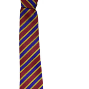 Millington Primary - Tie