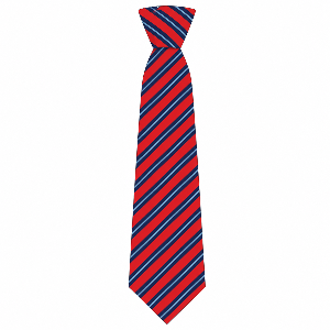 Markethill Primary School – Tie